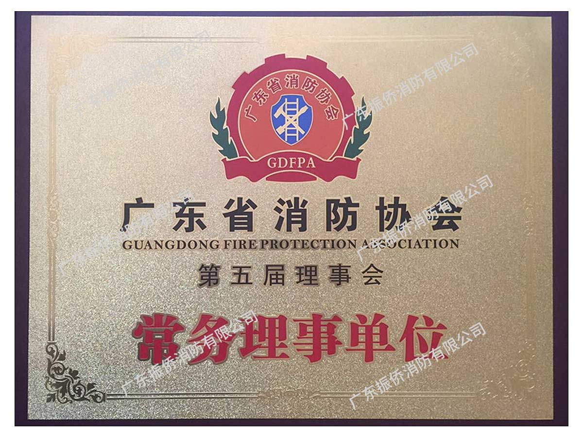 廣東省消防協會常務理事單位